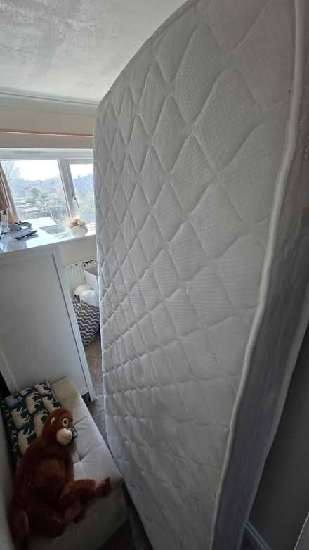 Photo of free Cabin Bed and Mattress (Colchester CO2) #2