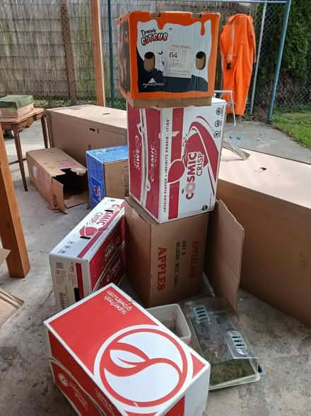 Photo of free Lots of Moving Boxes (Delridge) #1