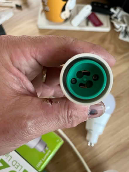 Photo of free Ceiling roses and bulbs (TF4) #2