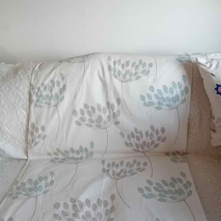 Photo of free Lined curtains next 66 x 72 ons (Morecambe LA4) #3