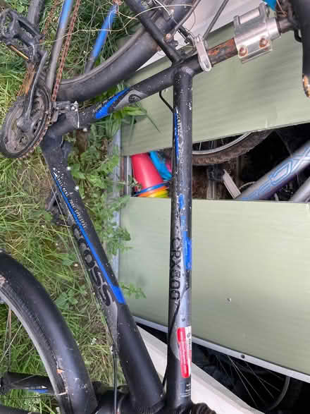 Photo of free Bike needs TLC (E5) #3