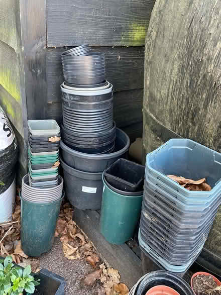 Photo of free Plant pots (plastic) (South Oxfordshire RG9) #1
