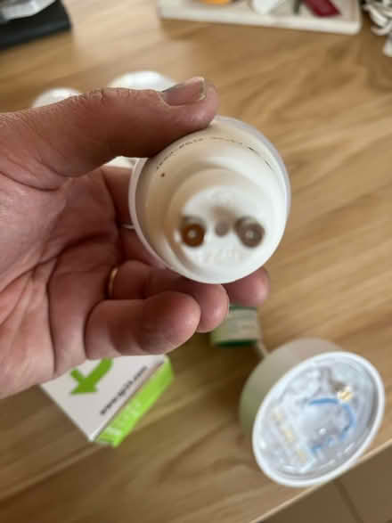 Photo of free Ceiling roses and bulbs (TF4) #3