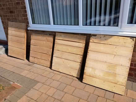 Photo of free spruce panels (Upton CH2) #1