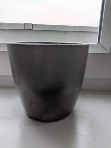 Photo of free Ceramic plant pot (EH5, Granton, Edinburgh) #3