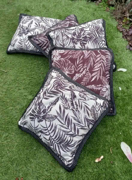 Photo of free 5 garden cushions (Didcot OX11) #1