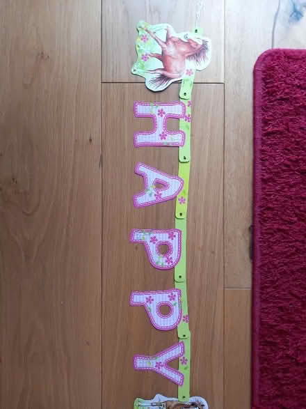 Photo of free Pony party plastic tablecloth (Odd Down) #4