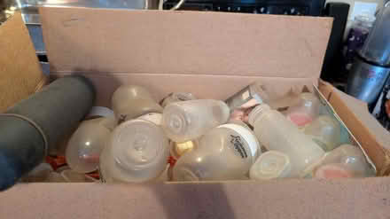 Photo of free Baby bottles (Clinton) #1