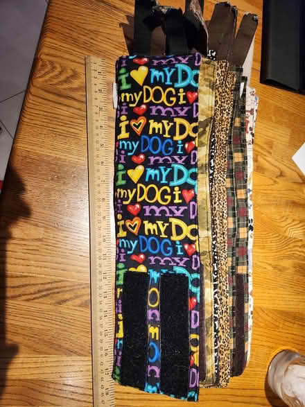 Photo of free Male Dog Belly Wraps (Bowie) #1