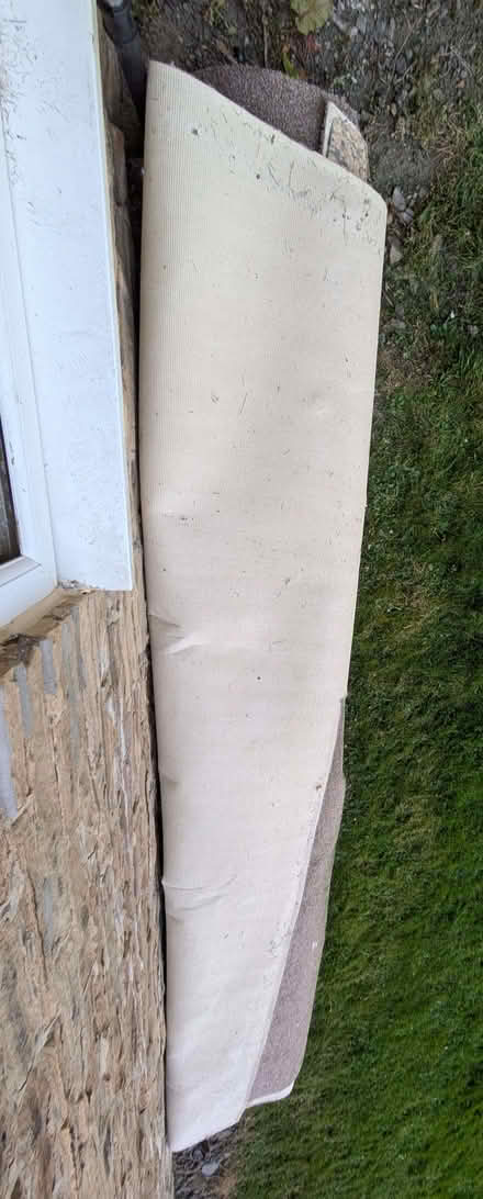 Photo of free Carpet (Boothtown HX3) #2