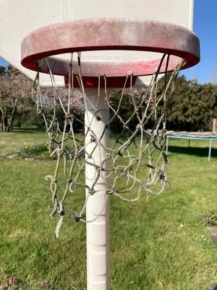 Photo of free Basketball Hoop, Adjustable height (CO16) #2