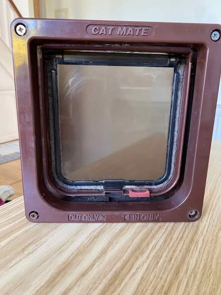 Photo of free Cat flap (Lye Valley OX3) #1