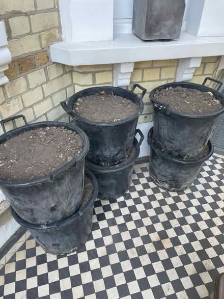 Photo of free Topsoil (Battersea Wandsworth SW11) #1