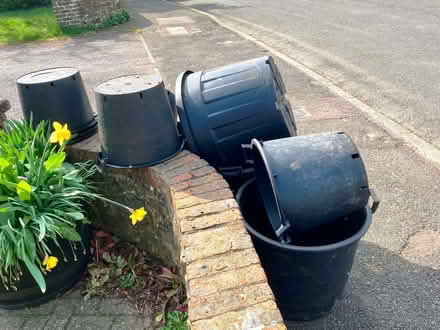 Photo of free Giant Flower Pots and Tree Pots (DA3) #2