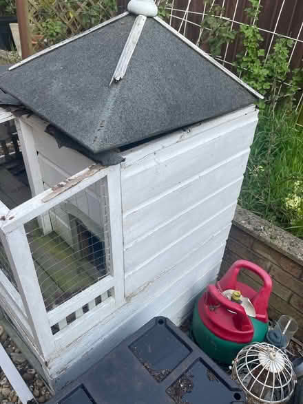 Photo of free Rabbit/guinea pig hutch. Need tlc (RG6) #3
