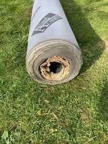 Photo of free Laminate Flooring Underlay (Steyning BN44) #1