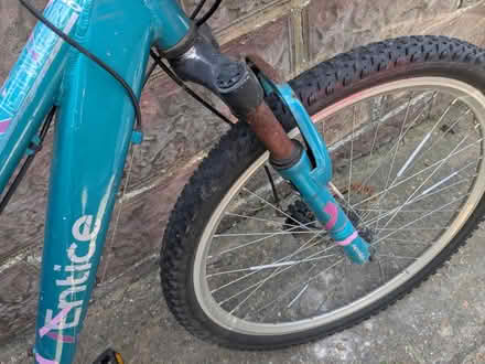 Photo of free Ladies bike (Peacehaven) #3
