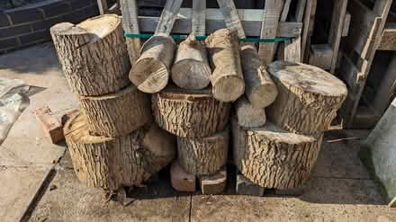 Photo of free Logs for burning (Malvern Link Top WR14) #1
