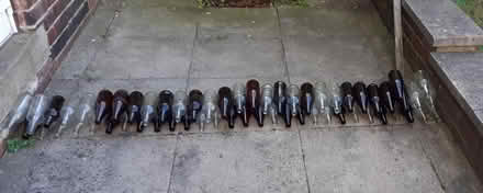 Photo of free Beer bottles for home brewing (Longley S5) #1