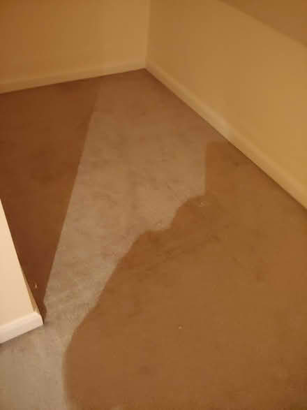 Photo of free Used Carpet and Underlay (Chiswick W4 5BD) #3