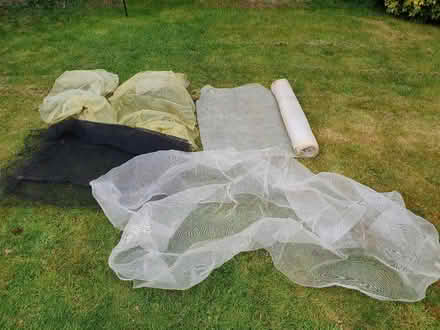 Photo of free Garden / allotment netting (Finchampstead RG40) #1
