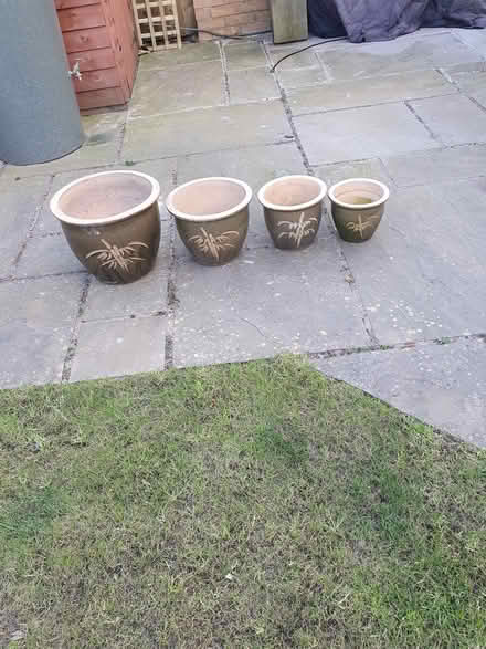 Photo of free 4 matching plant pots (Tarleton PR4) #2