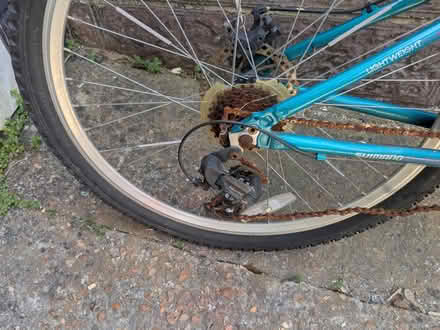 Photo of free Ladies bike (Peacehaven) #2