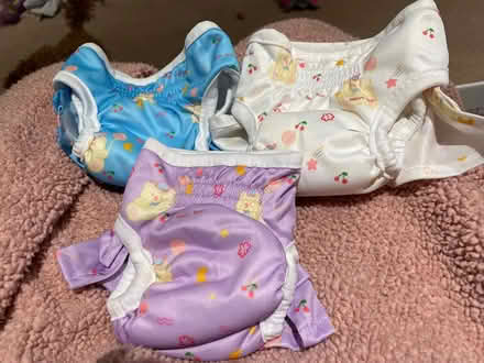 Photo of free X small reuseable dog nappies (Steyning High Street) #1