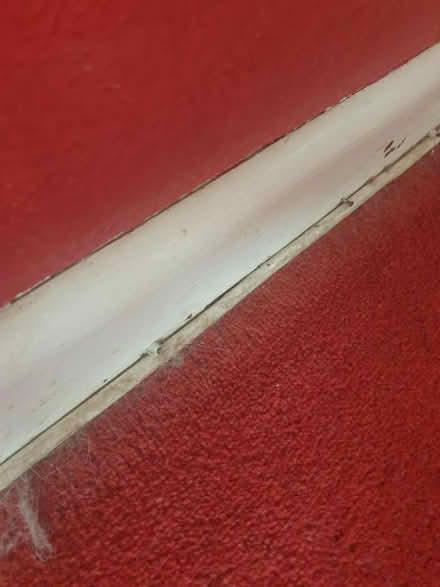 Photo of Dado rail & skirting board sections (Ipswich IP1) #2