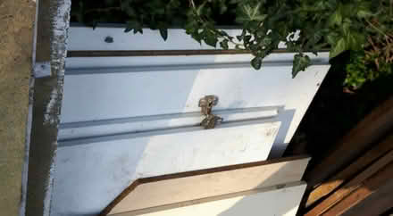 Photo of free various chipboard (Hillfields BS16) #3