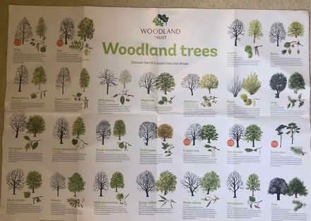 Photo of free Educational poster of tree types (Bramhall SK7) #1