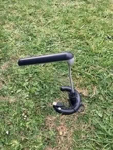 Photo of free Anglepoise Lamps (Steyning BN44) #2