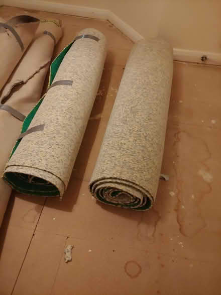 Photo of free Used Carpet and Underlay (Chiswick W4 5BD) #2