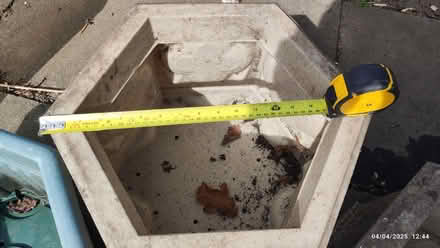 Photo of free 3 large plastic plant pots (Great Moor SK7) #1