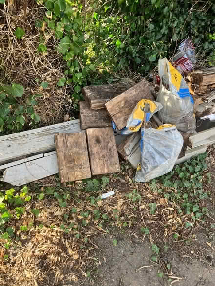 Photo of free Wood (HR6 leominster) #1