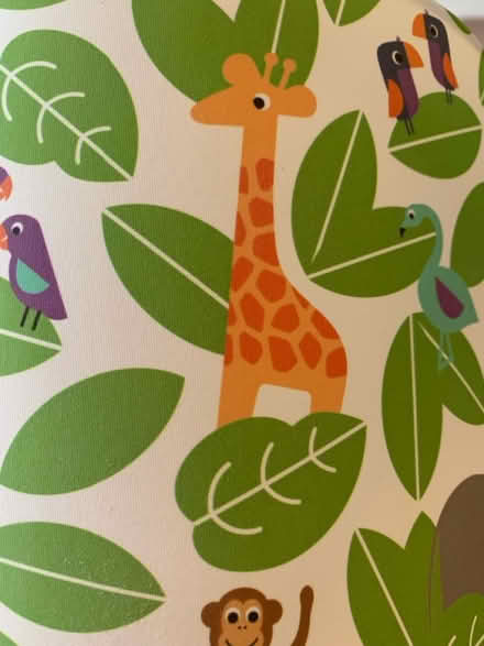 Photo of free Kids lampshade (Yately) #1