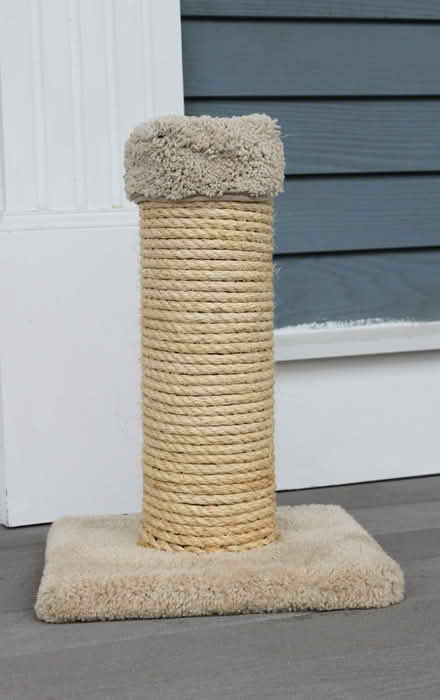 Photo of free Cat Scratching Post (West Townsend) #1