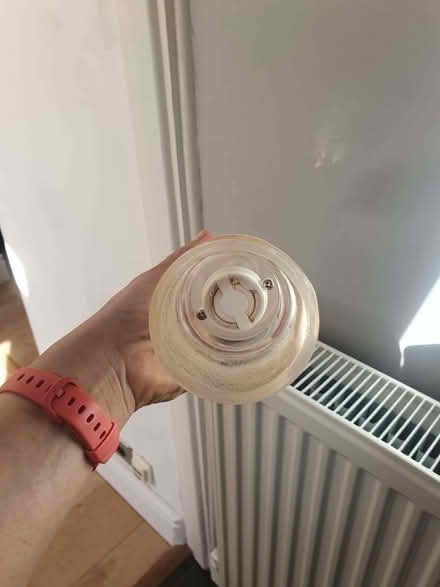 Photo of free Large salt grinder (Odd Down) #3
