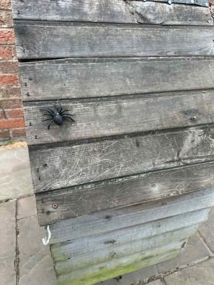 Photo of free Insect hotel (Cold Harbour OX1) #3