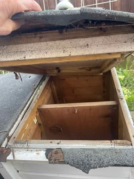Photo of free Rabbit/guinea pig hutch. Need tlc (RG6) #4