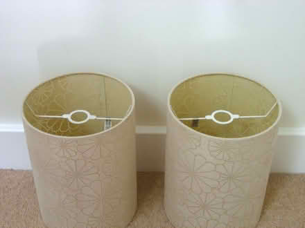 Photo of free Pair of Taupe Flocked Lampshades (East Lavant PO19) #1