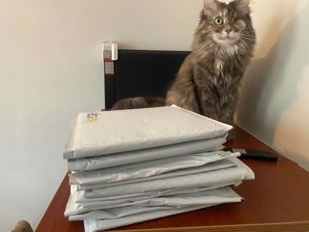 Photo of free 11 padded envelopes (Vienna, VA) #4