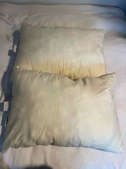 Photo of free 2 firm pillows (West Oakland) #1