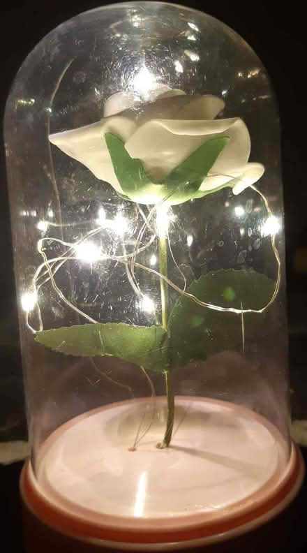 Photo of free light-up flower (Beulah Hill CR7) #2