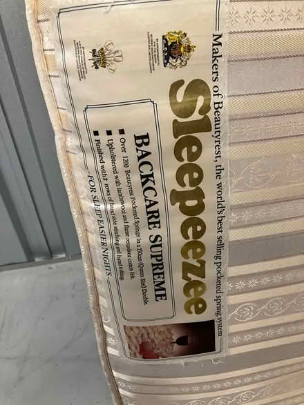 Photo of free Two Double Mattresses (TN30) #2