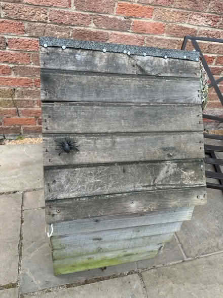 Photo of free Insect hotel (Cold Harbour OX1) #4