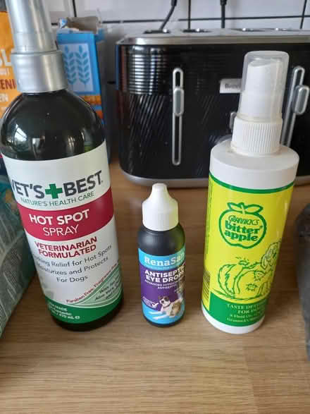 Photo of free Elderly dog items (Roundhill area brighton) #2