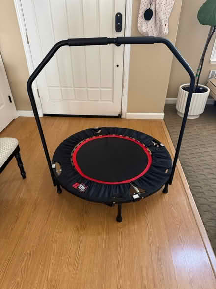Photo of free Rebounder (East Petaluma) #1