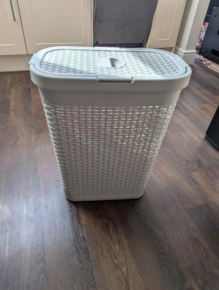 Photo of free Laundry basket (Abingdon OX14) #2