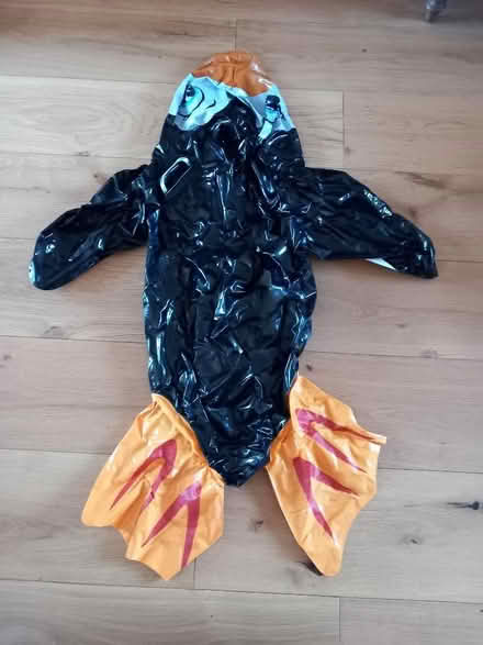 Photo of free Inflatable penguin (Odd Down) #1
